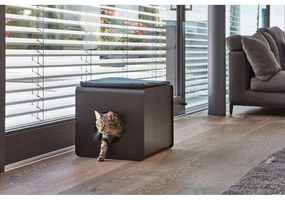 Lettiera nera per gatti 41x54,5 cm Sito Black - MiaCara