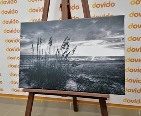 Stampa su tela – Tramonto sulla spiaggia in bianco e nero