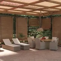 Set da Pranzo da Giardino 9 pz in Polyrattan Marrone 3059473