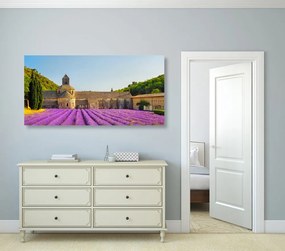 Stampa su tela – Provenza con campi di lavanda