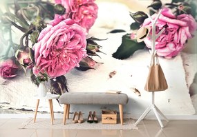 Carta da parati autoadesiva – Rose in fiore