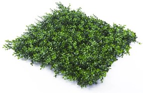 Parete verde artificiale Bosso Divy 3D in polietilene, verde H 1 m x L 1 m