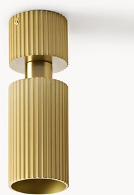 Faretti da soffitto Chester
