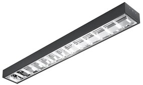 Lampada fluorescente T8 2xG13/18W/230V 120 cm nero