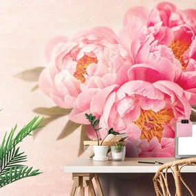 Carta da parati – Peonia delicata