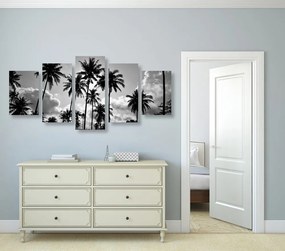Quadri 5 pezzi – Palme da cocco sulla spiaggia in bianco e nero