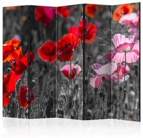 Paravento Red Poppies II [Room Dividers]