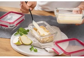 Tefal - Contenitore per alimenti 0,45 l MSEAL GLASS rosso/vetro