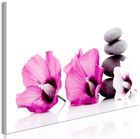 Quadro Calm Mallow (1 Part) Narrow Pink  Colore Bianco, Dimensioni e Misure 120x40