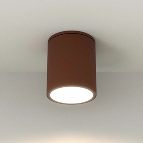 Applique da soffitto Cilindrica PAR30 IP54 in Alluminio e Vetro - Corten