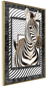 Poster  Zebra in the Frame  Cornice Quadri Cornice d'oro, Larghezza x Altezza Home decor 20x30