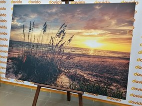 Quadro su tela – Tramonto sulla spiaggia