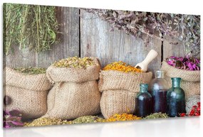 Quadro su tela – Erbe medicinali