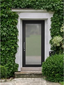 Portoncino d'ingresso Condo4 L 90 x H 210 cm in PVC nero, apertura spingere a destra