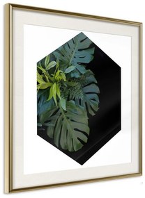 Poster  Cell of Jungle  Cornice Quadri Cornice d'oro con passe-partout, Larghezza x Altezza Home decor 30x30