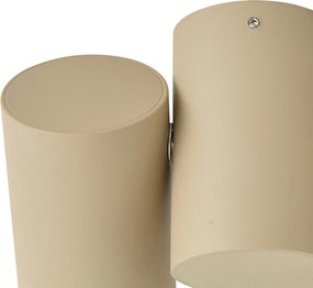 Faretto da soffitto moderno 2 luci orientabile tortora - Michael