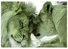 Fotomurale adesivo  Lion Tenderness (Green)  Larghezza x Altezza Home decor 98x70