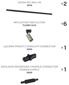 Zuma Line 3022 - Faretto per sistema a binario TUBE 6xGU10/35W/230V nero/oro