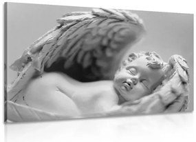 Quadro su tela – Piccolo angioletto in bianco e nero