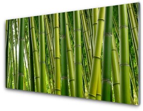 Quadro acrilico Foresta di bambù Germogli di bambù 100x50 cm