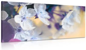 Quadro su tela – Ramo di ciliegio fiorito