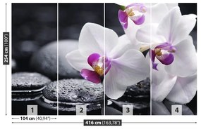 Carta da parati Orchidea 104x70 cm