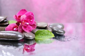 Carta da parati – Orchidea con tocco di relax