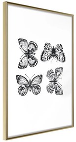 Poster  Butterfly Collection III  Cornice Quadri Cornice d'oro, Larghezza x Altezza Home decor 20x30