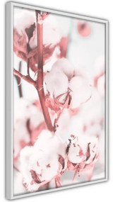 Poster Cotton Flowers