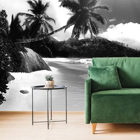 Carta da parati – Spiaggia sull'isola di Seychelles in bianco e nero