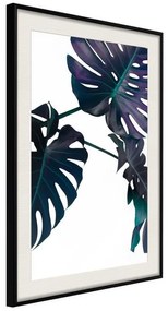 Poster  Evergreen Monstera  Cornice Quadri Cornice nera con pass-partout, Larghezza x Altezza Home decor 20x30