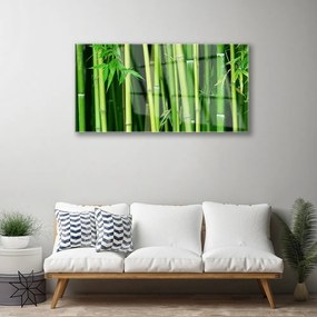 Quadro in vetro acrilico Foresta di bambù Natura di bambù 100x50 cm