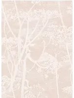 Cole & Son Carta da parati Cow Parsley Icons - Ballet Slipper
