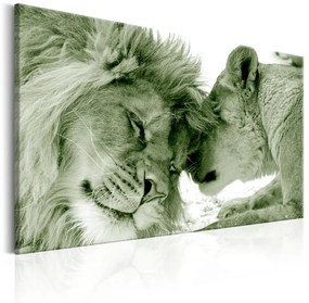 Quadro  Whisper of Love  Colore Verde, Dimensioni e Misure 60x40