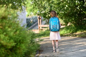 Zaino scuola BOLL SCHOOL MATE 20 l Flamingos - turquoise