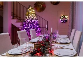 Twinkly TWS250SPP-TEU - LED RGBW da esterno Catena natalizia 250xLED 23,5m IP44 Wi-Fi