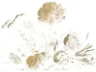 KEK Amsterdam Carta da parati panoramica Golden Age Flowers Gold 2 - XL