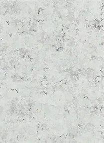 Designers Guild Carta da parati Lustro - Zinc