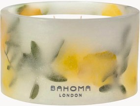 Candela profumata a tre stoppini fatta a mano Botanica (Pino, Agrumi, Cedro)