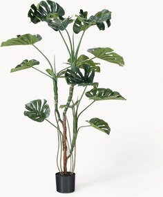 Pianta artificiale Monstera