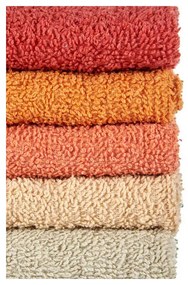 Set di Asciugamani da Cucina Cotone (5 pcs)