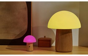 Lampada da tavolo dimmerabile in colore naturale con paralume in vetro (altezza 32 cm) Alice - Gingko