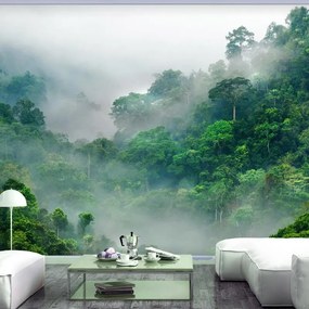 Fotomurale adesivo  Morning Fog  Larghezza x Altezza Home decor 147x105