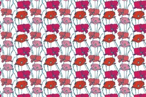 Carta da parati – Papaveri fioriti