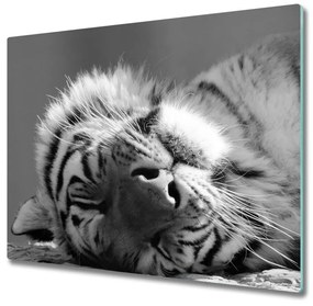 Tagliere in vetro temperato Tigre assonnata 60x52 cm