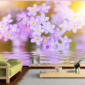 Fotomurale   Violet Petals In Bloom  Colore Verde, Dimensioni e Misure 100x70