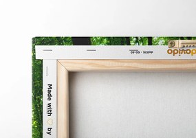 Stampa su tela – Foresta verde fresca