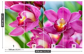 Carta da parati Orchidee rosa 104x70 cm