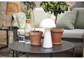 Lampada da tavolo dimmerabile a LED bianchi (altezza 28 cm) Mushroom - Star Trading