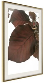 Poster  Burgundy Tilia Leaf  Cornice Quadri Cornice d'oro con passe-partout, Larghezza x Altezza Home decor 40x60